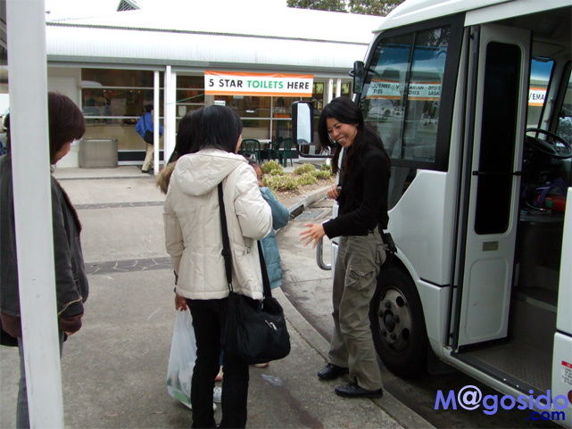 �I�[�X�g�����A �V�h�j�[ �I�v�V���i���c�A�[