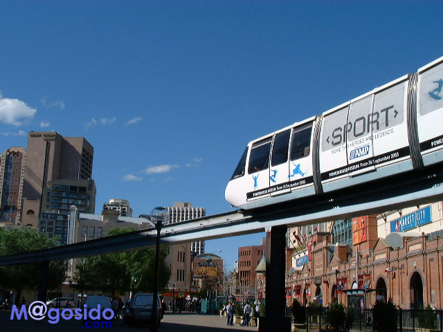 �V�h�j�[���g�����m���[��