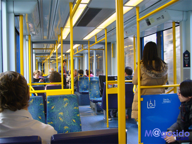 �V�h�j�[���g�����C�g���[��