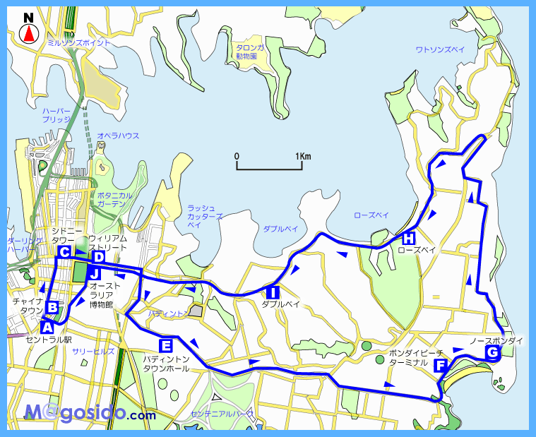 �{���_�C�G�N�X�v���[���[/�n�}