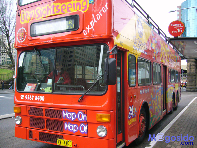 �V�h�j�[�G�N�X�v���[���[�A�{���_�C�G�N�X�v���[���[