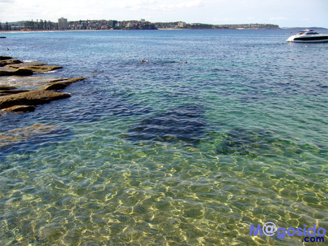 マンリービーチ シドニー ビーチ