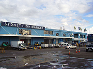 シドニーフィッシュマーケット