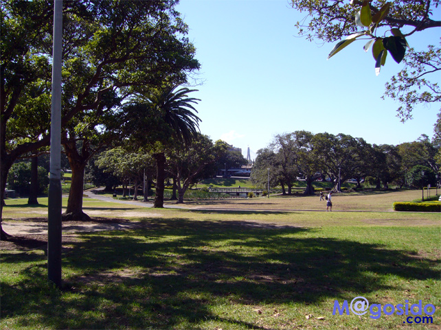 �V�h�j�[��w ���B�N�g���A�p�[�N