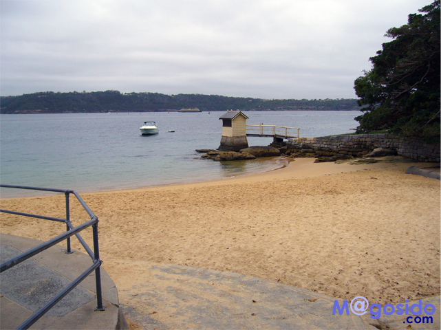 �L�����v�x�C�r�[�`�b���g�\���Y�x�C�A�T�E�X�w�b�h�A�M���b�v