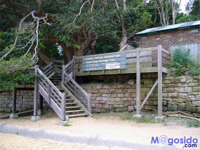 �K�i�b���g�\���Y�x�C�A�T�E�X�w�b�h�A�M���b�v