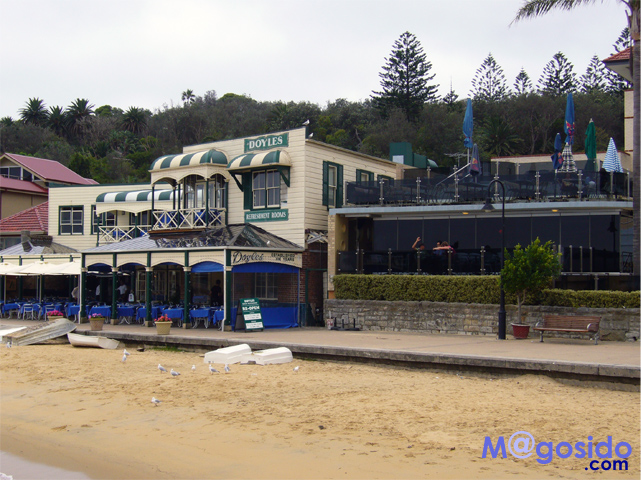 �h�C���Y�I���U�r�[�`�b���g�\���Y�x�C�A�T�E�X�w�b�h�A�M���b�v