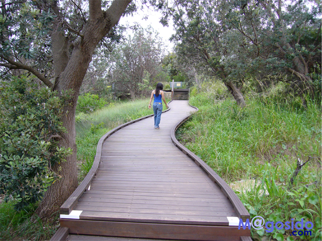 �T�E�X�w�b�h�ւ̓��b���g�\���Y�x�C�A�T�E�X�w�b�h�A�M���b�v