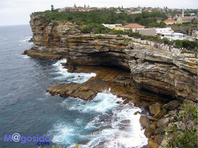 �M���b�v�b���g�\���Y�x�C�A�T�E�X�w�b�h�A�M���b�v