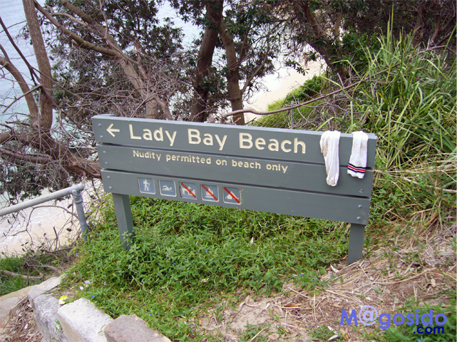 ���f�B�[�x�C�r�[�`�i�k�[�h�r�[�`�j�b���g�\���Y�x�C�A�T�E�X�w�b�h�A�M���b�v