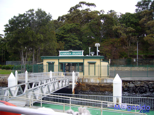 �K�[�f���A�C�����h�b���g�\���Y�x�C�A�T�E�X�w�b�h�A�M���b�v