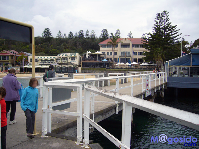 ���g�\���Y�x�C�t�F���[����