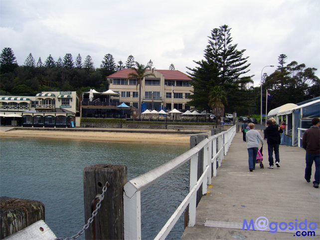 �t�F���[����̎V���b���g�\���Y�x�C�A�T�E�X�w�b�h�A�M���b�v