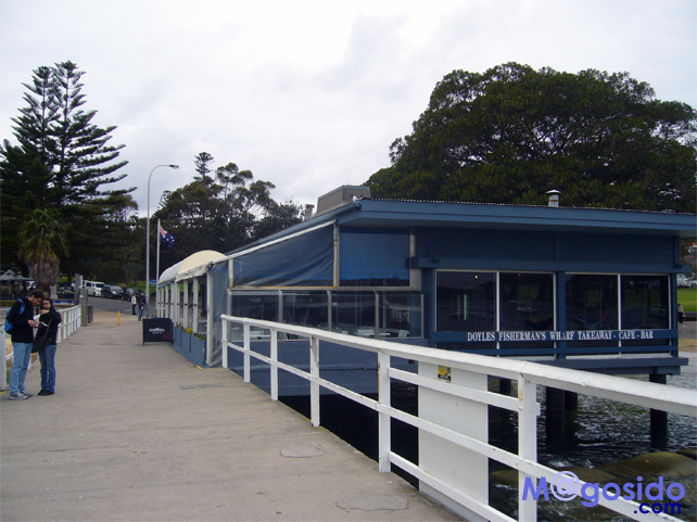 �h�C���Y�i�I���U�r�[�`�ł͂Ȃ��j�b���g�\���Y�x�C�A�T�E�X�w�b�h�A�M���b�v