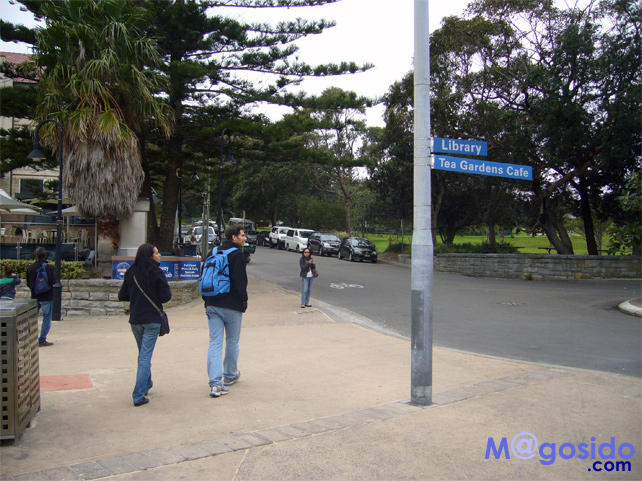 �~���^���[���[�h�b���g�\���Y�x�C�A�T�E�X�w�b�h�A�M���b�v