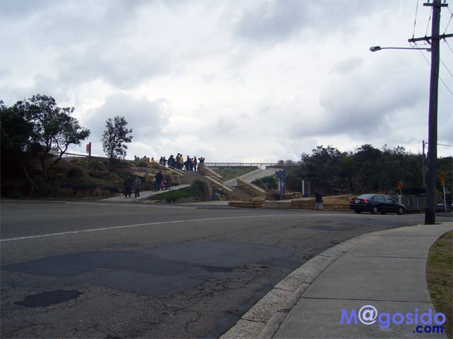 �K�i�b���g�\���Y�x�C�A�T�E�X�w�b�h�A�M���b�v