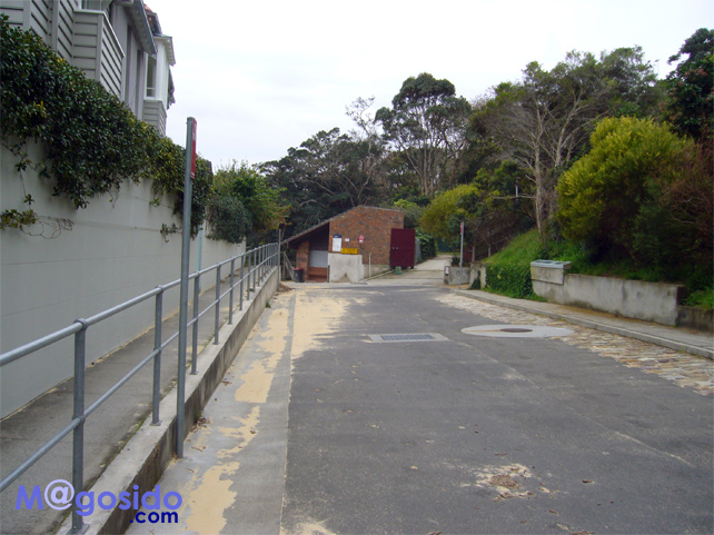 �����K����̌����b���g�\���Y�x�C�A�T�E�X�w�b�h�A�M���b�v