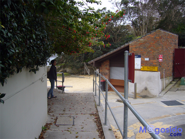 �����K����̌����b���g�\���Y�x�C�A�T�E�X�w�b�h�A�M���b�v