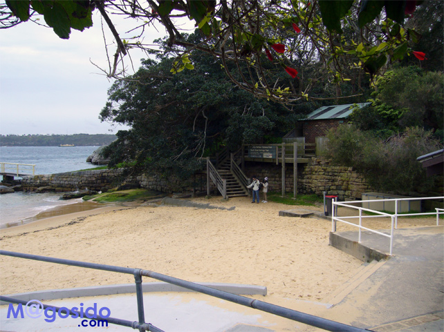 �L�����v�x�C�r�[�`�b���g�\���Y�x�C�A�T�E�X�w�b�h�A�M���b�v