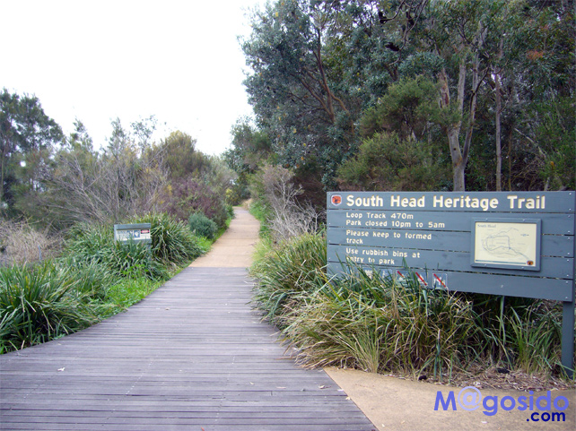 �T�E�X�w�b�h�ւ̓��b���g�\���Y�x�C�A�T�E�X�w�b�h�A�M���b�v