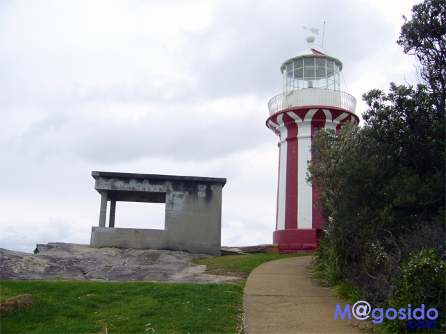 �T�E�X�w�b�h�b���g�\���Y�x�C�A�T�E�X�w�b�h�A�M���b�v