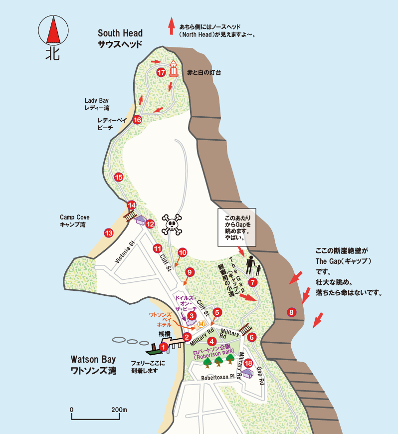 ���g�\���Y�x�C�A�M���b�v�A�T�E�X�w�b�h�̏ڍגn�}