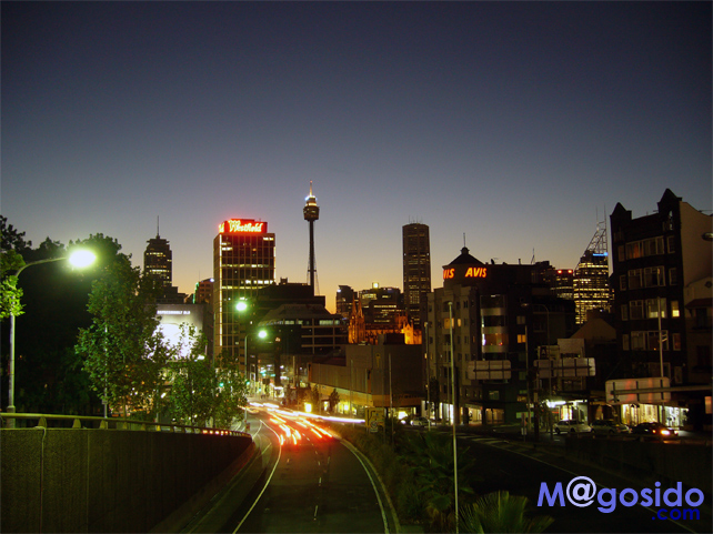 ���C�g�i�C�g�V���b�s���O�f�[�͖ؗj��