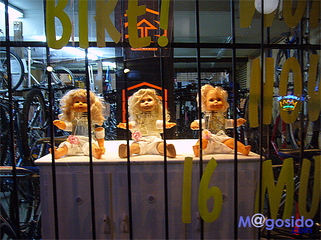 ���C�g�i�C�g�V���b�s���O�f�[�͖ؗj��