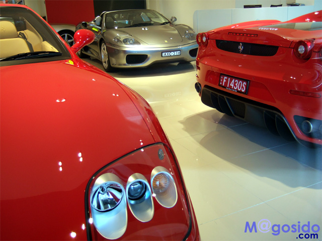 �V�h�j�[�̃t�F���[��������